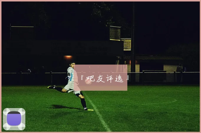 『吧友评选』
